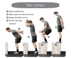 picture of box jumps so people on my website understand what I'm talking about. personal training studio