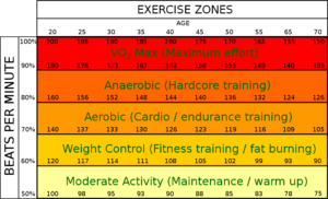 cardio and fat burning zone